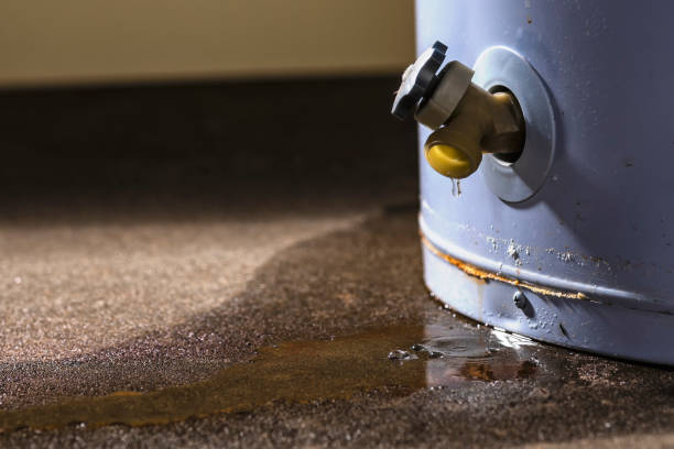 Best Flood restoration services  in Wales, WI