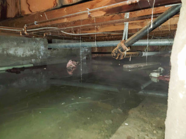 Best Flooded house restoration  in Wales, WI