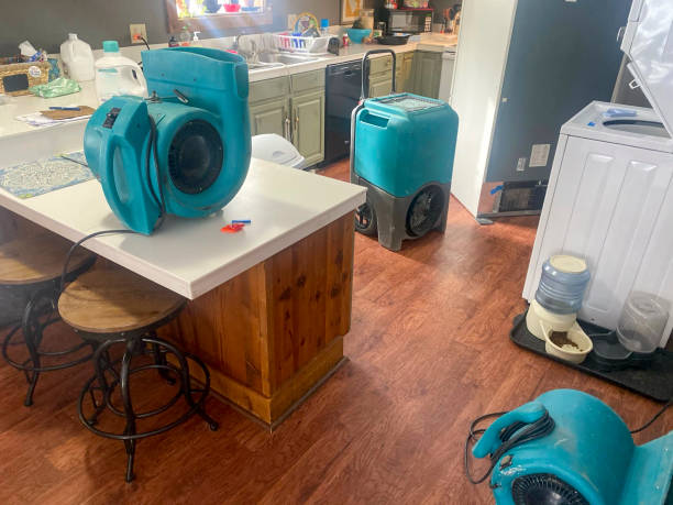 Best Residential water damage restoration  in Wales, WI