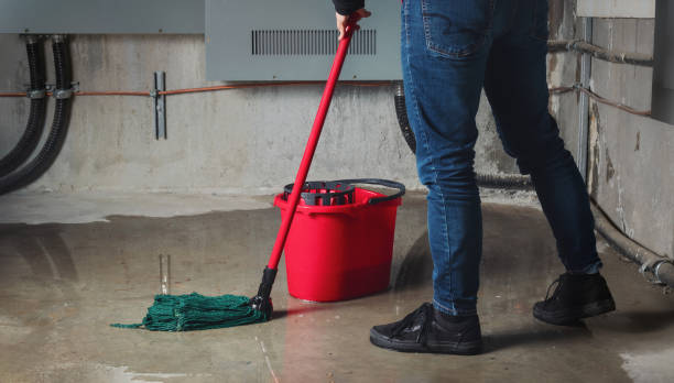 Best Flooded house restoration  in Wales, WI