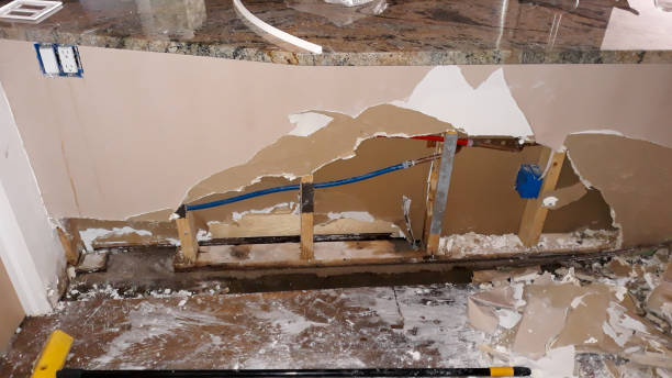 Best 24/7 water damage repair  in Wales, WI