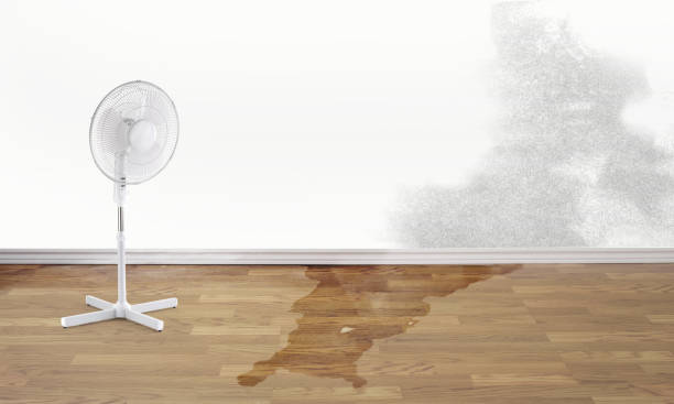 Best Commercial water damage restoration  in Wales, WI