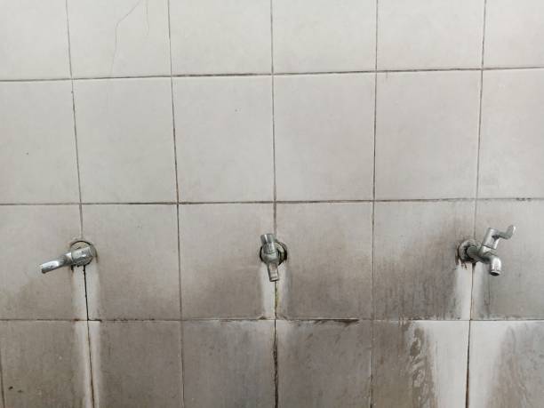 Best Commercial water damage restoration  in Wales, WI