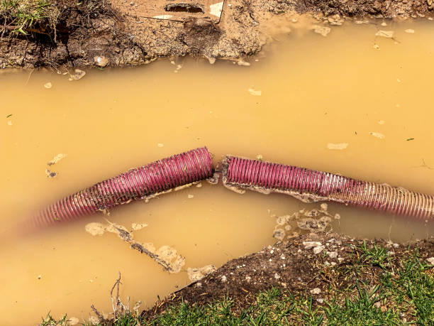 Best Water damage restoration near me  in Wales, WI