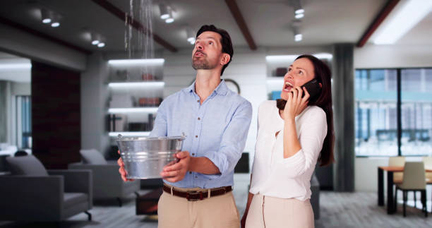 Best Water damage mitigation services  in Wales, WI