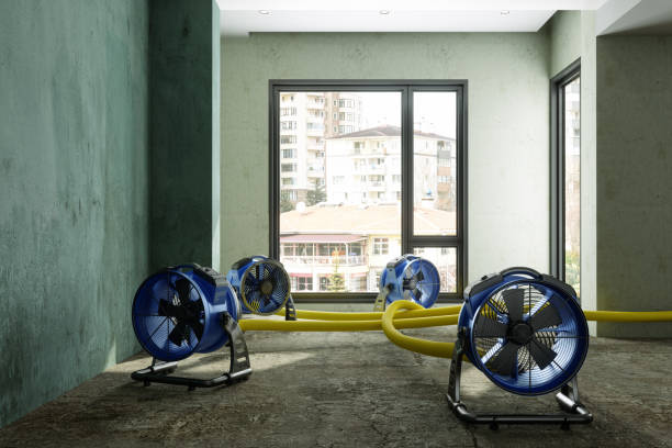 Best Water damage restoration near me  in Wales, WI